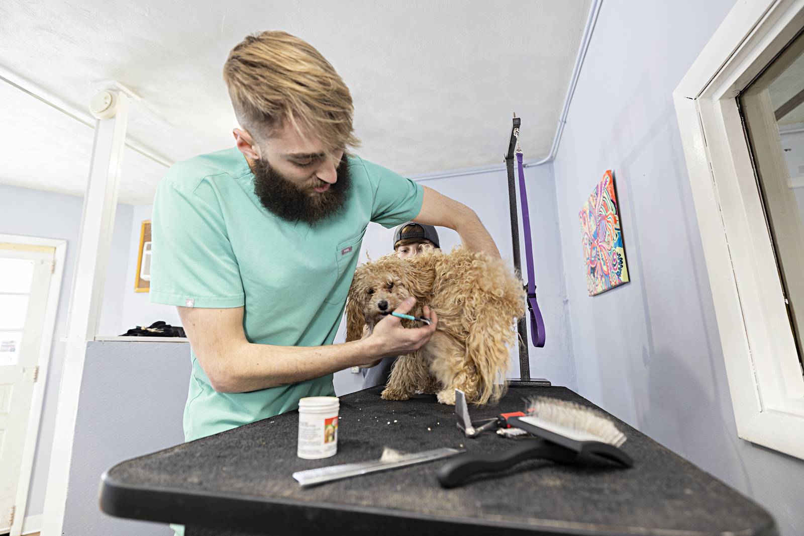 Photos The Pup House dog groomer open in Dixon Shaw Local
