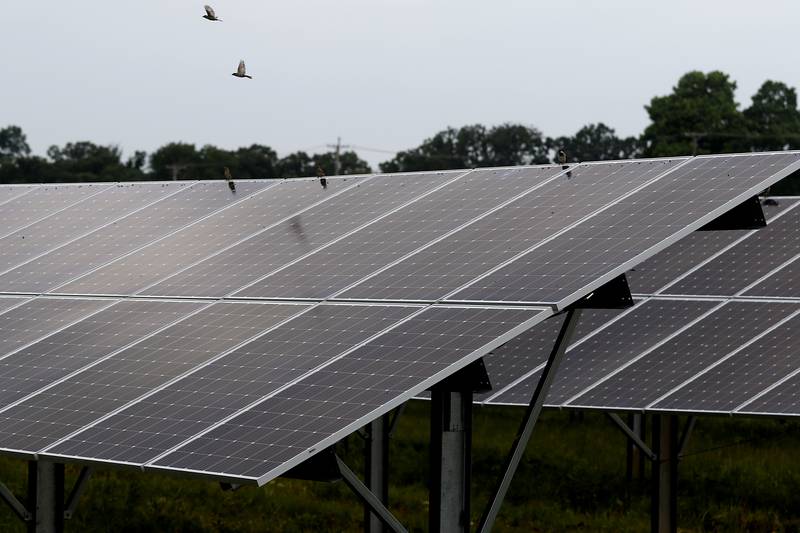 The solar farm at Huntley High School on Friday, June 30, 2023. Multiple solar farms across McHenry County are being presented to the McHenry County Board creating concerns of watershed, farmland and pollinator issues.