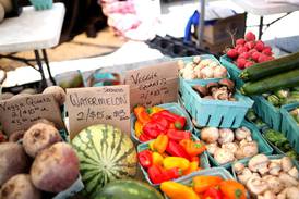Have fun at the farmers market this summer and beyond 