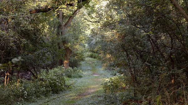 $1.2M facelift proposed for McHenry’s Cold Springs Park: ‘Promise made to us in 1998′