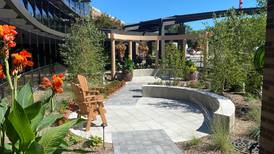 Morris Hospital moves and enlarges its serenity garden