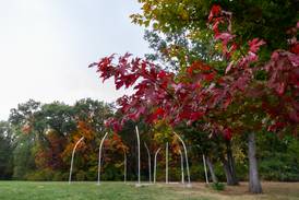 Community Pulse: Grundy County Land Use efforts in Fall 2025