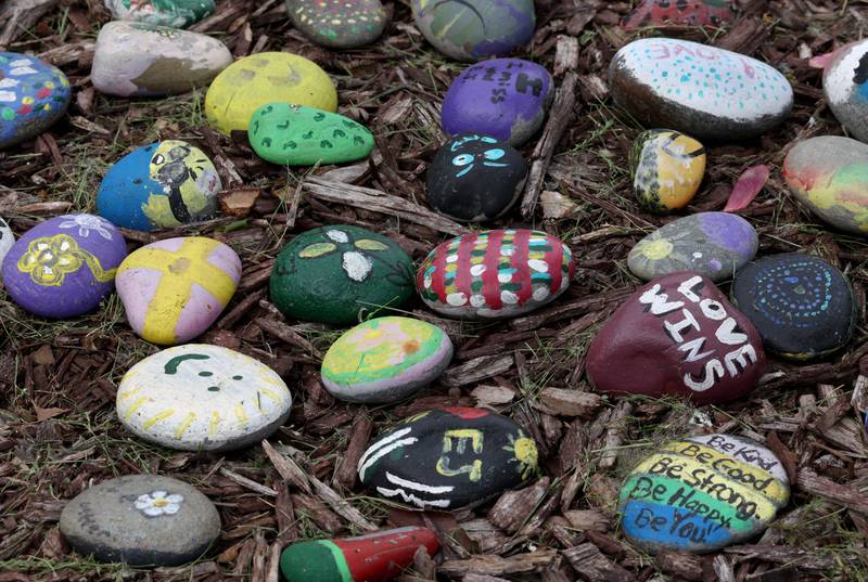 Some of the rocks in the rock garden Monday, May 12, 2025, dedicated to the memory of Ezra Hill Jr. at Tyler Elementary School. Hill was murdered in 2019 in Harvey, and the Fifth Annual Ezra Hill Jr. Memorial Rock Painting event will be held on June 7 at the school in DeKalb.