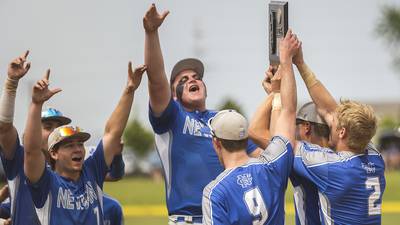 Early lead, strong pitching send Newman past Johnsburg