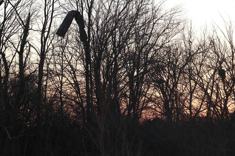 Debris is stuck high up in a tree along East Sandwich Road in Hinckley Wednesday, Feb. 28, 2024, after a tornado hit the area Tuesday night.
