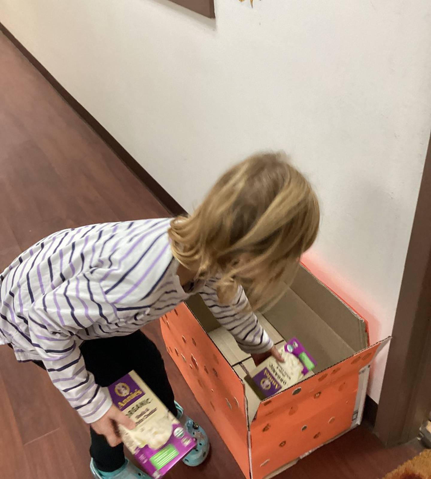 Preschoolers with the Goddard School of Saint Charles in Geneva recently collected hundreds of pounds of food to donate to the Northern Illinois Food Bank ahead of Thanksgiving 2025.