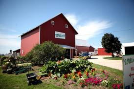 Maple Park farm celebrates 60 years  this season