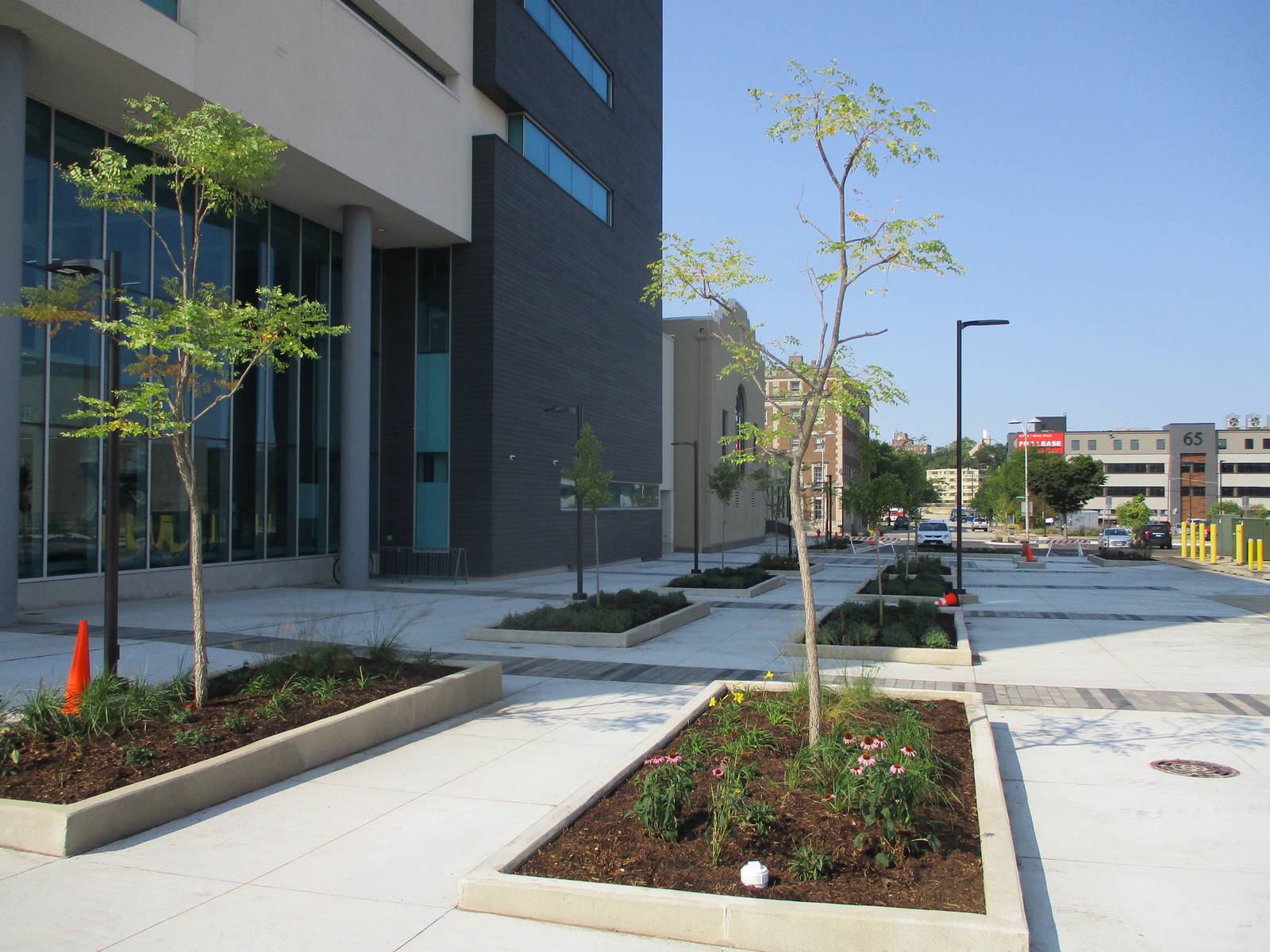 New JJC plaza blooming in downtown Joliet Shaw Local