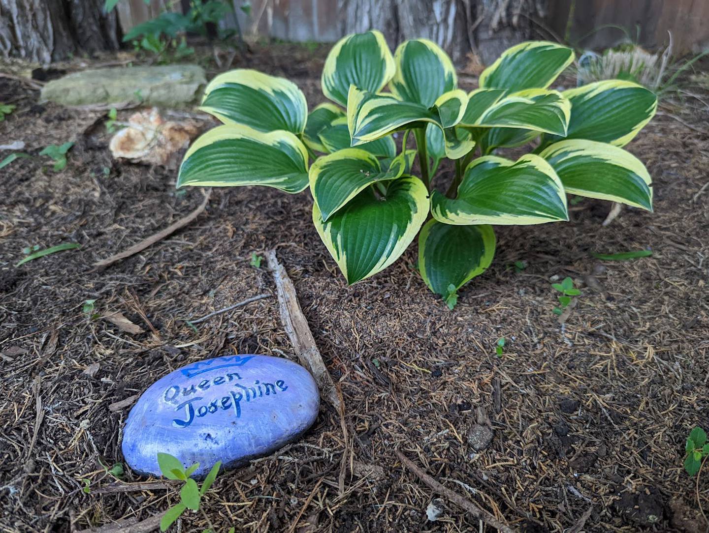 The annual Timmy’s Hugs and Hearts Garden Walk, which will be held Saturday June 25, 2022, benefits the pediatric program at Lightways Hospice and Serious Illness Care in Joliet. Pictured is the garden on Sunset Lane in Shorewood, which will be featured on the walk.