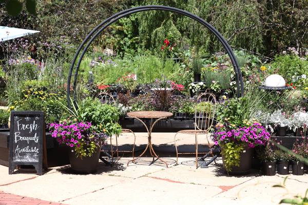 5 things to do in DeKalb County: Ukuleles in the park, artist & makers market at Blumen Gardens and more