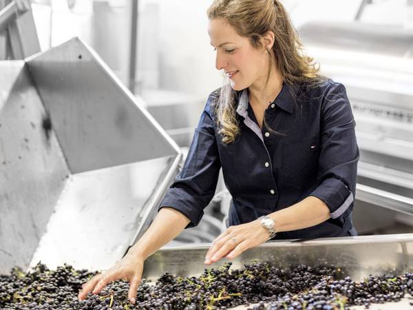 Uncorked: Reductive process shapes aromatic, intense wines