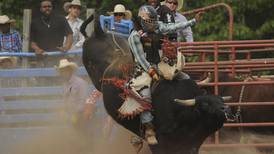 5 Things to Do in Kankakee County: Pembroke Rodeo, Thursday Harvest Hang at Locavore Farm