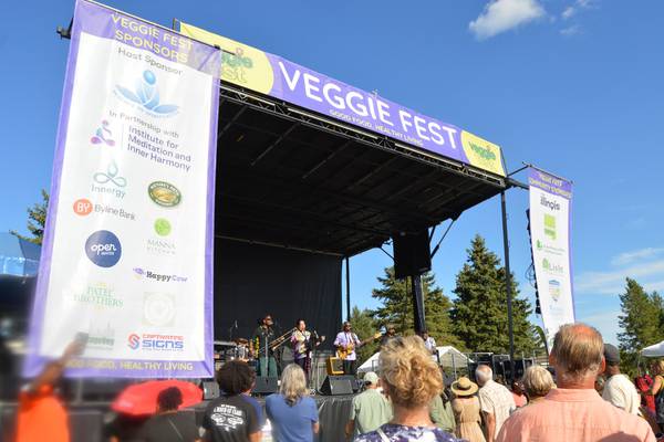 5 Things to Do: Veggie Fest, Darien Fest and more free live music this weekend