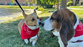 Dog-friendly walk, 5K run to raise funds for heart, cancer care at Riverside