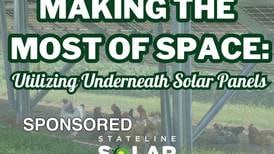 Making the Most of Space: Utilizing Underneath Your Solar Panels