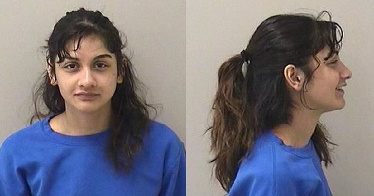 Elgin woman charged with reckless homicide in death of St. Charles man ...