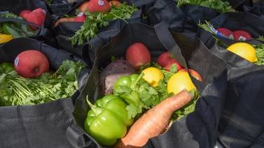 Master Gardeners to host indoor growing program