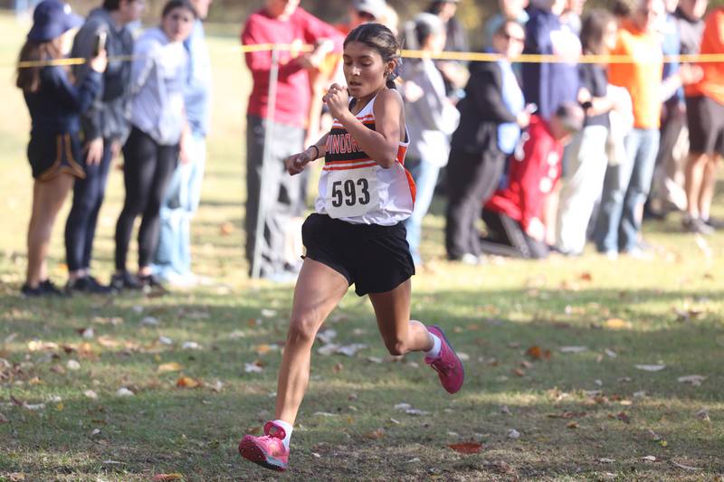Minooka’s Mia Ledesma sprints for a second place finish in the Girls Cross Country Class 3A Minooka Regional at Channahon Community Park on Saturday.