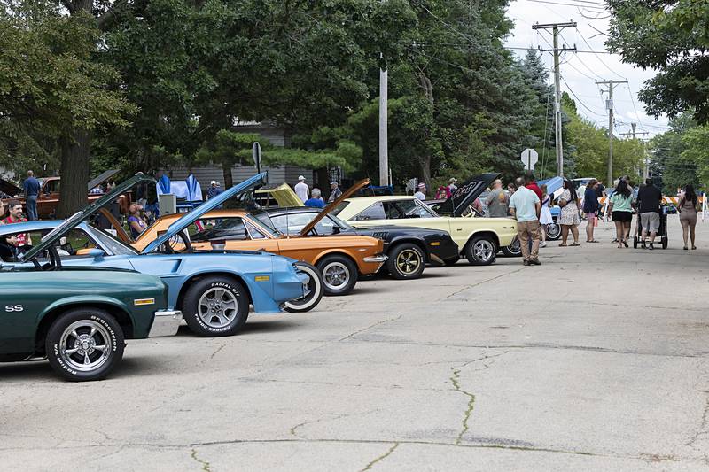 A few dozen cars were displayed at John Dixon Park on Friday, July 5, 2024, for the Petunia Fest car show.