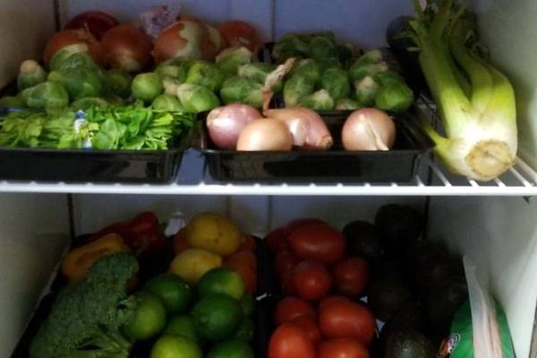 Plano church holding free food pantry