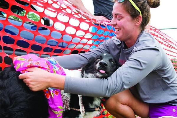 Ogle County dog rescue bringing multiple rescues together for September event in Oregon