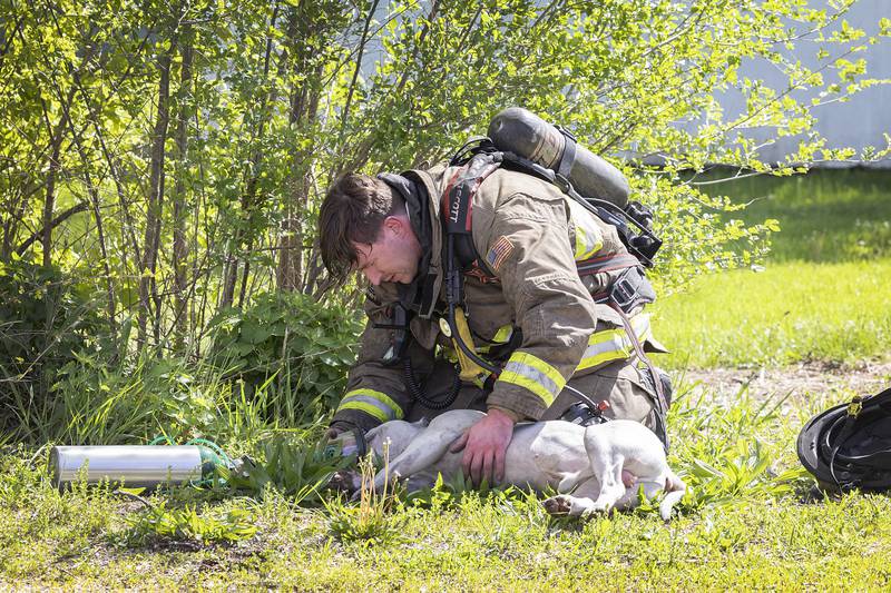 A firefighter administers oxygen to the family dog that was rescued from the house fire Wednesday, May 1, 2024. After being transported from the scene, the dog was alert and walking around.