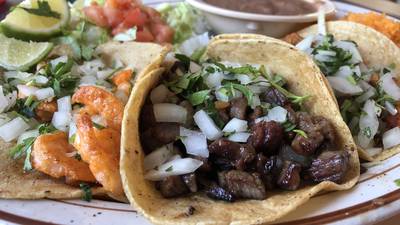 Tacos, Tamales and Tortas Trail invites everyone to taste Harvard’s many takes on Mexican food