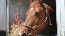 Will County Trail Riders hosting blood drive – but leave the horses at home