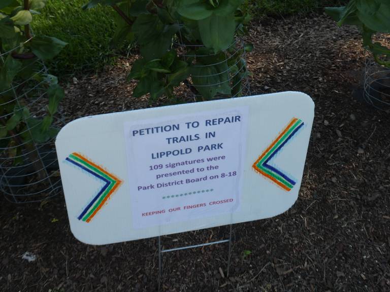 Crystal Lake resident Bob Miller organized a petition with over 100 signees this past month to raise concerns over the condition of trails in the wetlands portion of Lippold Park. Miller showed the Northwest Herald around the wetlands on Wednesday, Aug. 24, 2022.