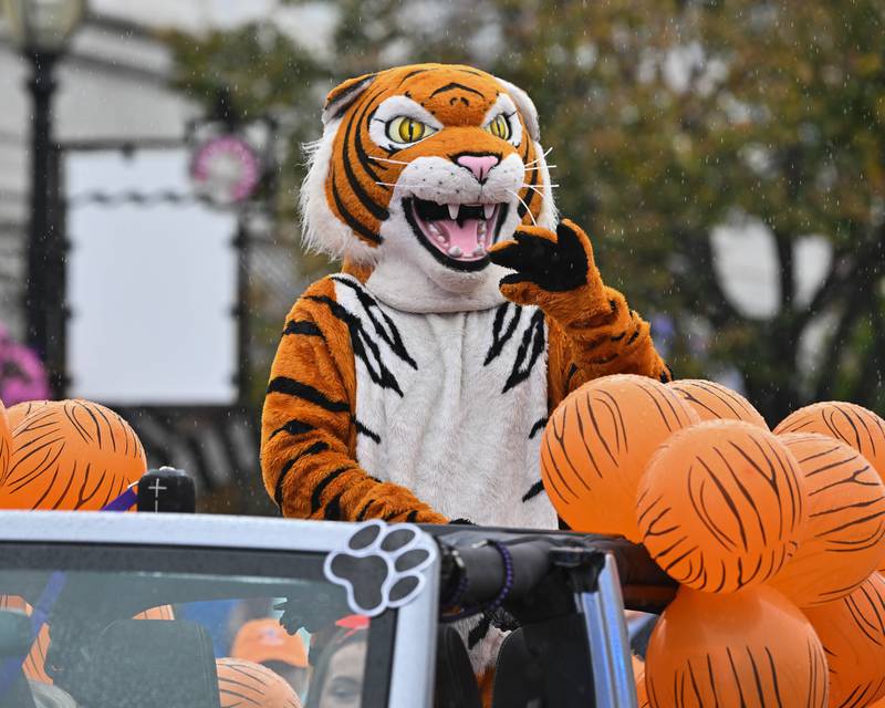 Crystal Lake Central High School mascot "Tiger" seen in the school's 100 year anniversary homecoming day parade on Saturday, Sep. 16, 2023 in Crystal Lake. The parade began at the high school and made its way through downtown Crystal Lake.