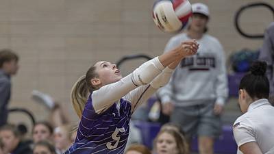 Photos: Dixon vs Oregon volleyball
