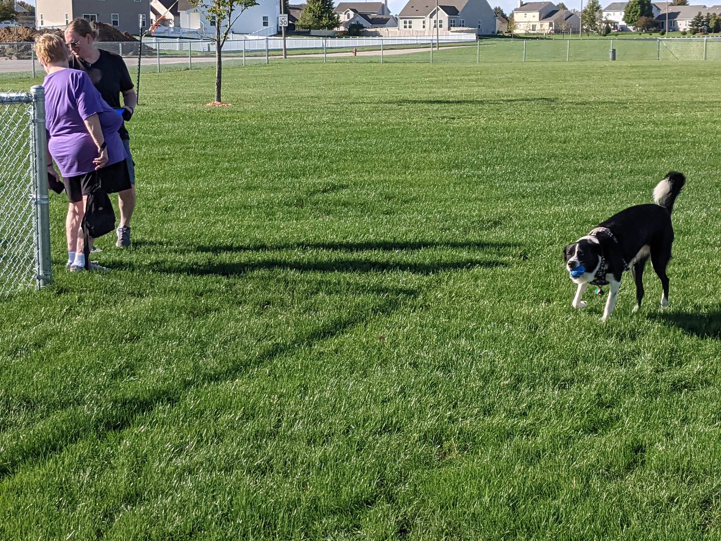 Sandwich Park District on Oct. 5 held a grand opening for Troeger Dog Park, the Park District's first dog park.