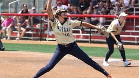 Softball: Previewing teams from around the Suburban Life coverage area