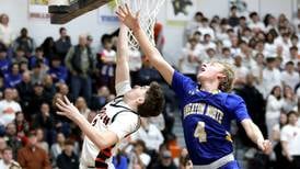 Photos: Wheaton North and Wheaton Warrenville South boys basketball