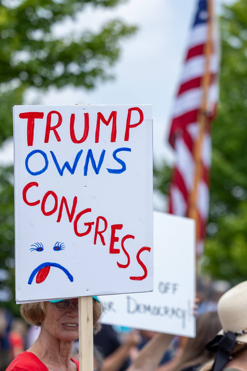 Sign that reads “Trump owns Congress” is held at the “No Kings” protest on Saturday, June 14, 2025 at Rotary Park in Princeton.