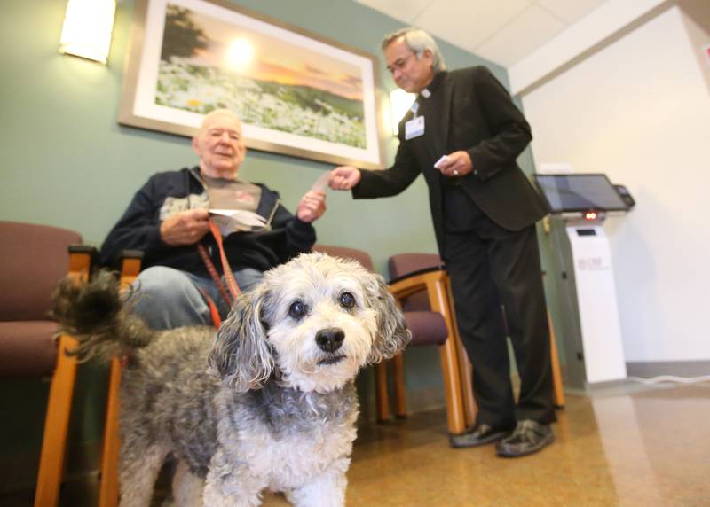 Gizmo turns and looks at the camera as Father Nick Husain and owner Jim Turczyn blessses them during the OSF Healthcare Blessing of the Animals on Friday, Oct. 4, 2024 at OSF Saint Elizabeth Medical Center in Peru. The blessing is a celebration of St. Francis of Assisi, who was known for his live of animals.