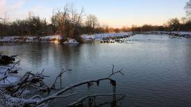 Forest preserve hosts stress-free post-holiday hike for women
