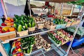 Underwood introduces bills to expand ways Illinois farmers can sell directly to consumers