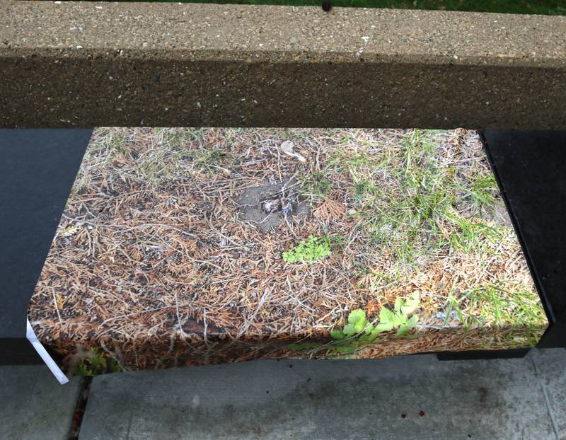 An untitled piece by Amy Fleming Wednesday, Nov. 8, 2023, outside the Northern Illinois University School of Art and Design, Visual Arts Building. The piece is part of the Terrain Biennial 2023, a countrywide exhibit where artists display their work outside of homes and building around town.