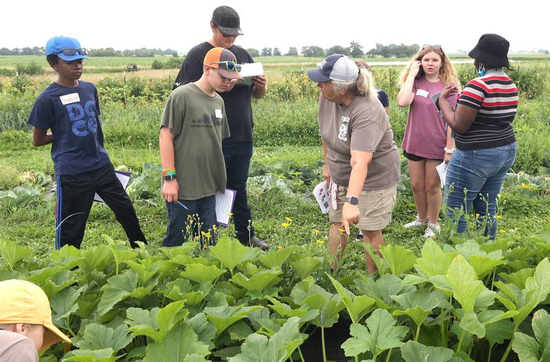 Julie Craig, Walnut Grove Vocational Farm assistant program director, points out a praying mantis Wednesday, July 27, 2022, to participants in the DeKalb County Community Gardens Sustainable Food Safari Camp during their stop at Walnut Grove Vocational Farm in Kirkland.