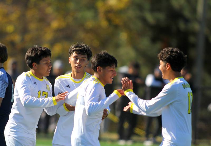 Harvard’s Diego Ramirez, center, is greeted after scoring against Cary-Grove in IHSA Class 2A Regional Title Game soccer action on Saturday, Oct. 26, 2024, at  Harvard Junior High School  in Harvard.