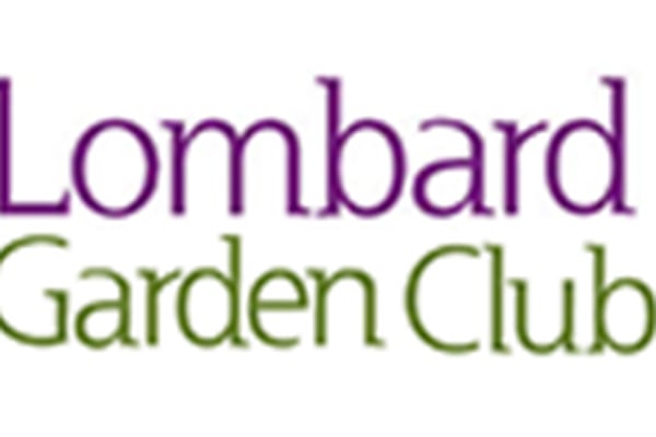 Author to discuss bison and Illinois tall grass prairie at Lombard Garden Club meeting