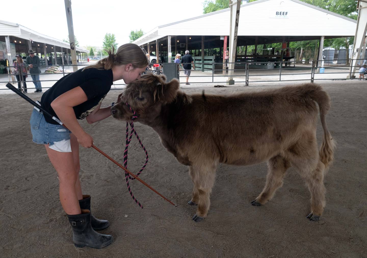 Mary Kelley, 12, of Elburn gives her Scottish Highland heifer a kiss on top of the head while they practice in the show arena during the Kane County Fair on Thursday, July 18, 2024 in St. Charles.