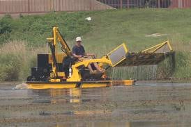 ‘Where’s Shrek?’: Ottawa City Council to reevaluate I & M Canal project