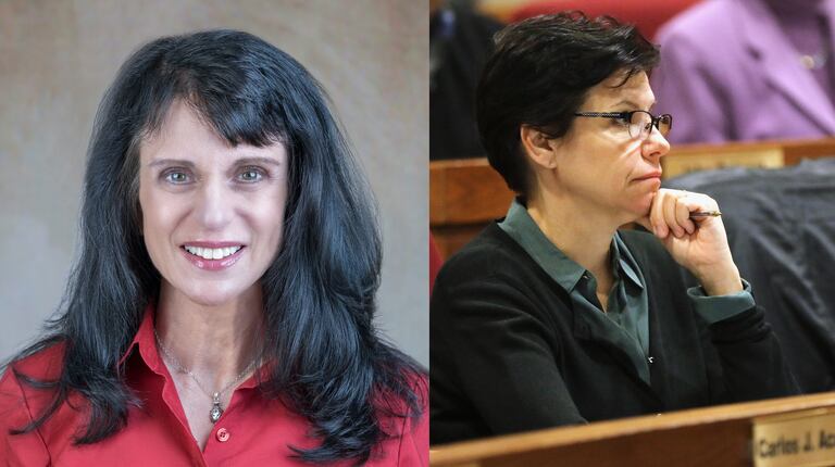 The candidates in Illinois House District 66 are Connie Cain, left, and incumbent Suzanne Ness.