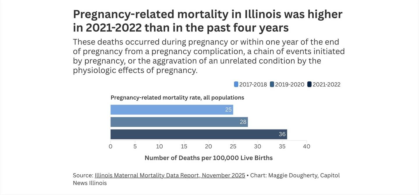 From the Illinois Maternal Mortality Data Report, November 2025
