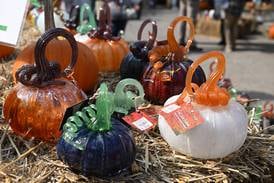 5 Things to Do: Glass Pumpkin Patch at the Morton Arboretum, Witches Walk in Glen Ellyn 