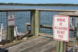 Dennis Marek: Have lawyers driven us to stupid?