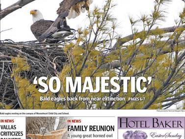 Historical covers for April 4: ‘So Majestic’: Bald eagles back from near extinction
