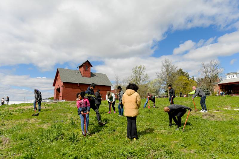 Volunteers plant native prairie plants at Peck Farm’s Dolomite Prairie as part of Geneva’s Earth Day Celebration on Saturday, April 20, 2024.